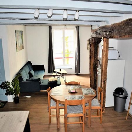 Gite Le Nid Des Zoo Zio, 5Mn Beauval, Appartement Terrasse Centre-Ville 圣艾尼昂 外观 照片