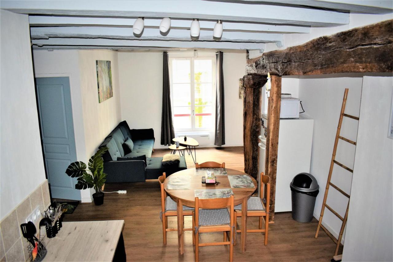 Gite Le Nid Des Zoo Zio, 5Mn Beauval, Appartement Terrasse Centre-Ville 圣艾尼昂 外观 照片