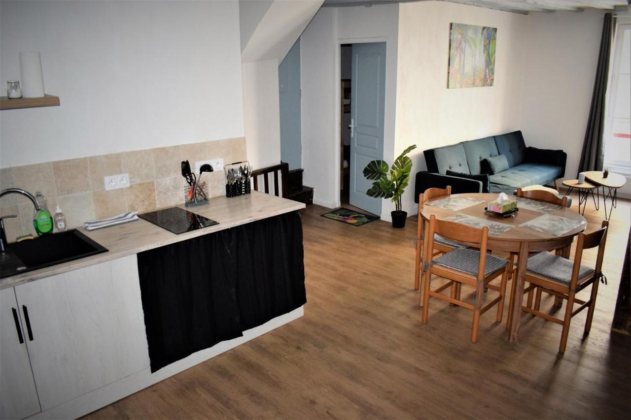 Gite Le Nid Des Zoo Zio, 5Mn Beauval, Appartement Terrasse Centre-Ville 圣艾尼昂 外观 照片