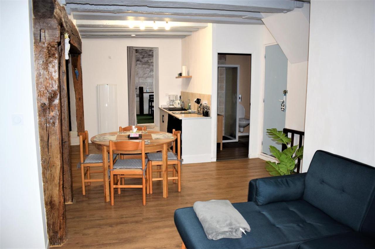 Gite Le Nid Des Zoo Zio, 5Mn Beauval, Appartement Terrasse Centre-Ville 圣艾尼昂 外观 照片