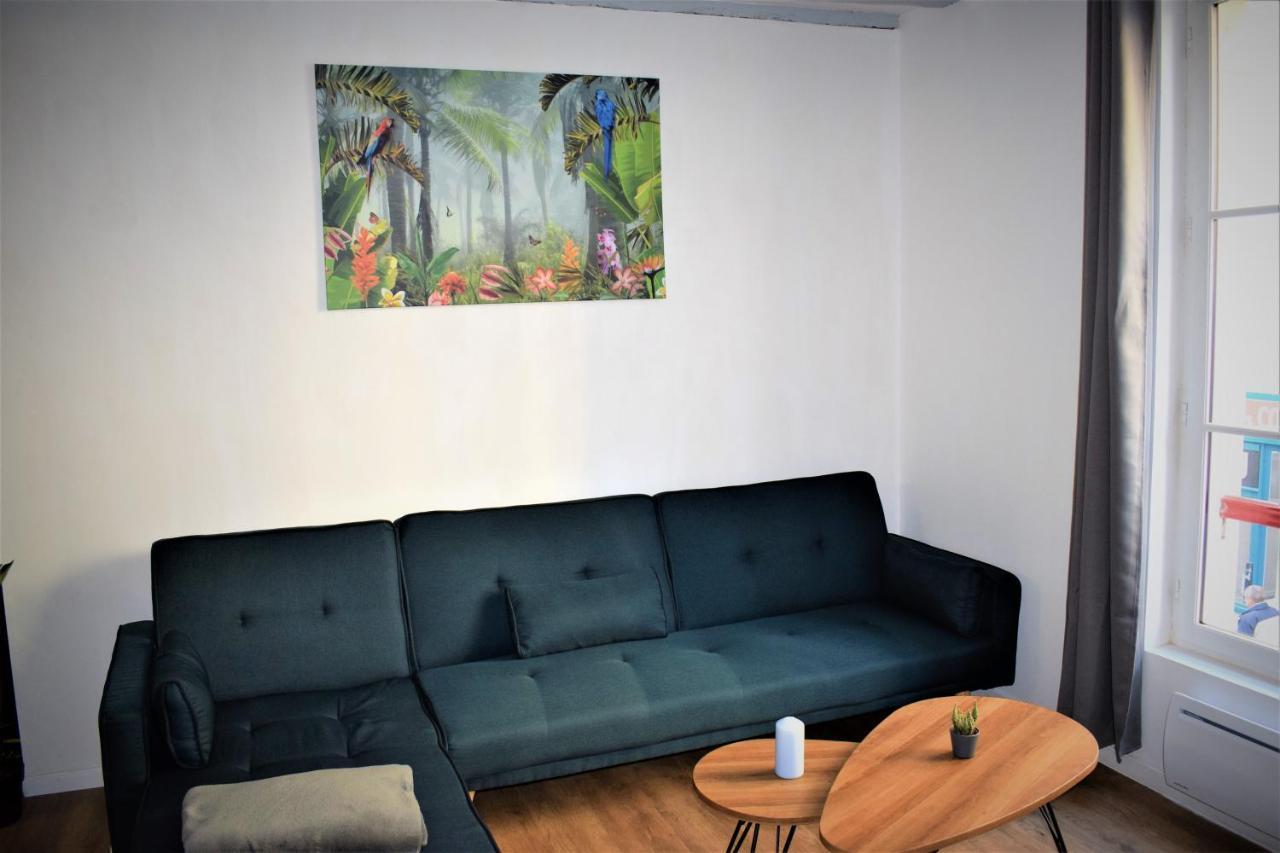 Gite Le Nid Des Zoo Zio, 5Mn Beauval, Appartement Terrasse Centre-Ville 圣艾尼昂 外观 照片