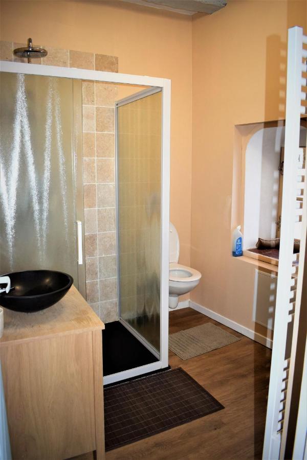 Gite Le Nid Des Zoo Zio, 5Mn Beauval, Appartement Terrasse Centre-Ville 圣艾尼昂 外观 照片